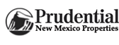 logofinalNMP