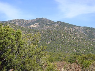 San-Pedro-Creek-Estates