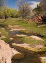 San Pedro Creek Bottom