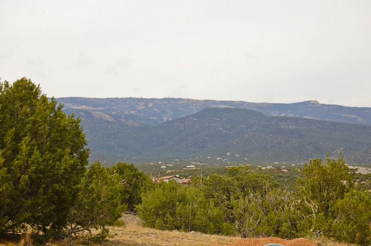 25 Punta-16