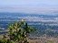Albuquerque