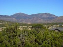 DSC04236