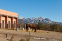 East Mountains NM
