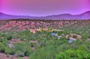 New mexico Real Estate