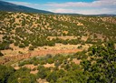 San Pedro Creek