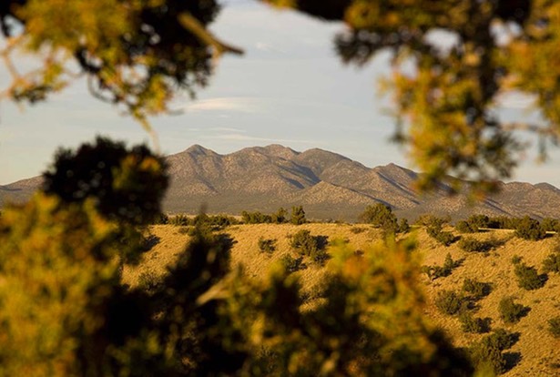 San-Pedro-Creek-Estates