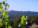 Monte Largo Mountains