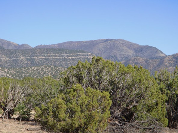 San-Pedro-Overlook-Lot-104