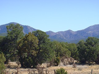 Sandia-Park-Real-Estate