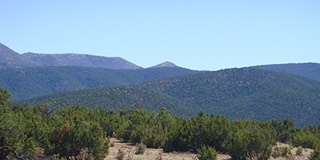 Sandia-Park