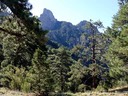 Inside the Sandia Mountains